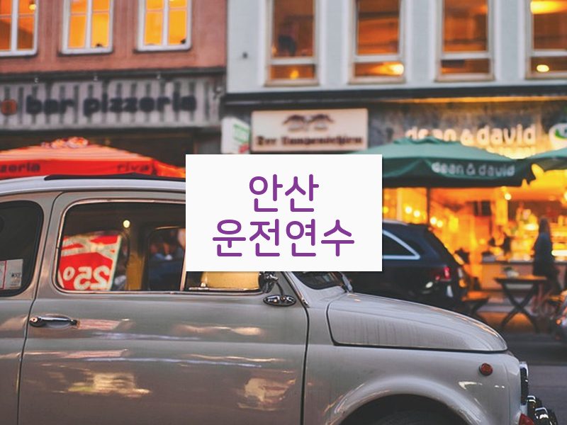 안산운전연수 후기