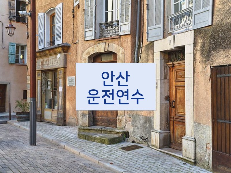 안산운전연수 후기