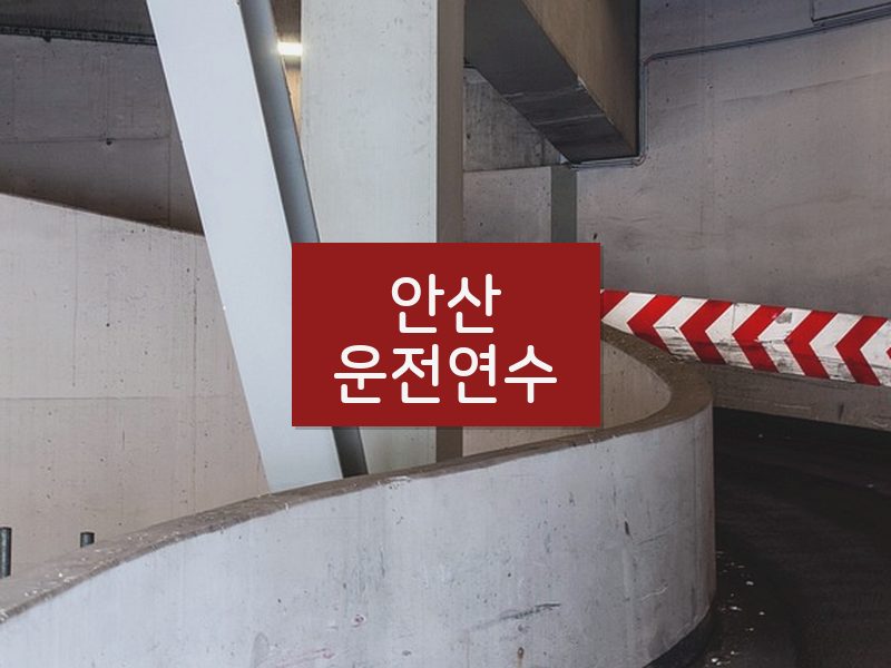 안산운전연수 후기