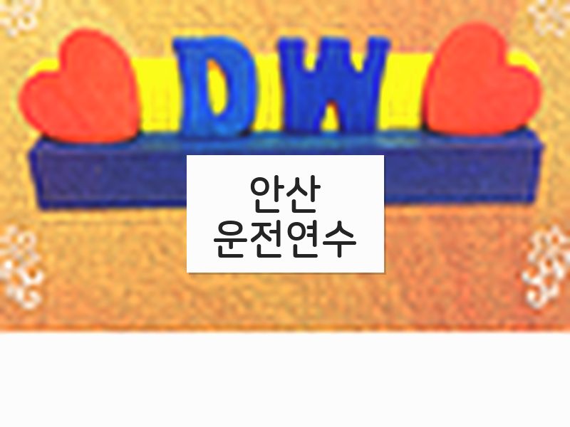 안산운전연수 후기