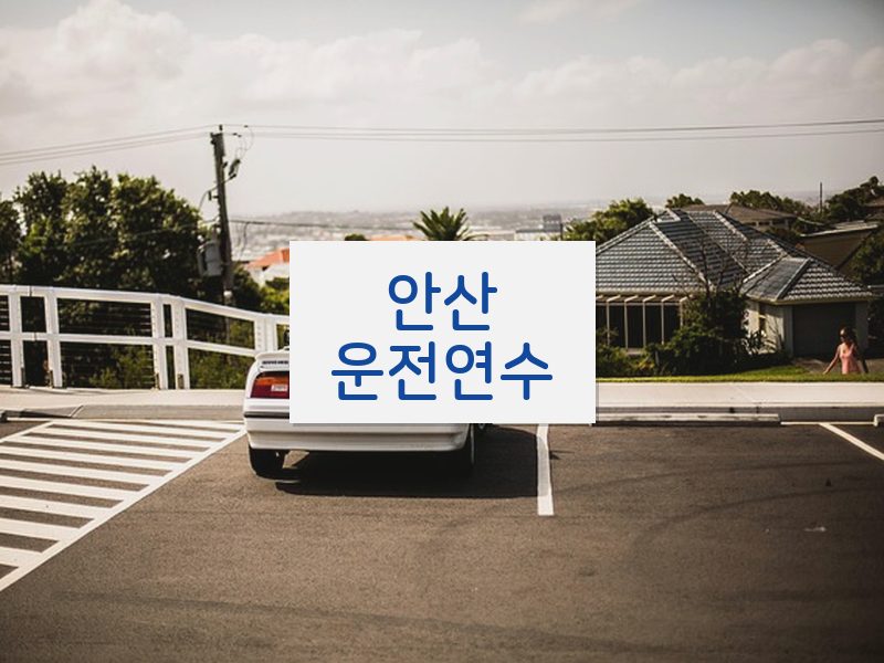 안산운전연수 후기