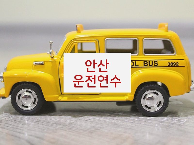 안산운전연수 후기