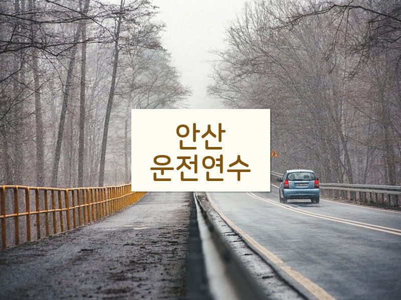 안산운전연수 후기