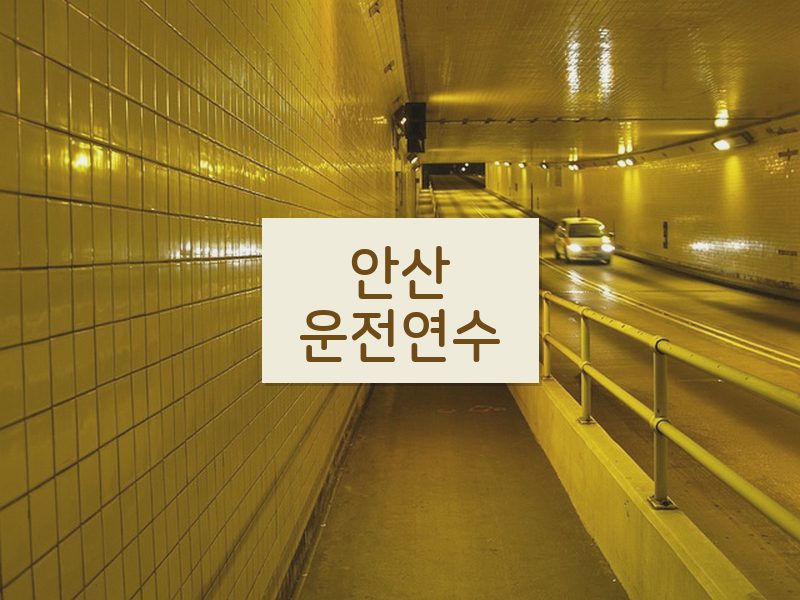 안산운전연수 후기