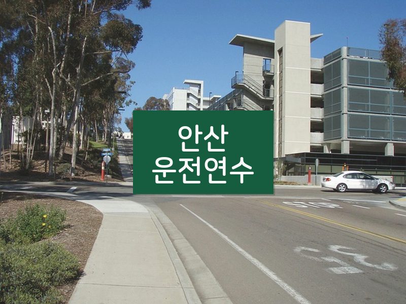 안산운전연수 후기