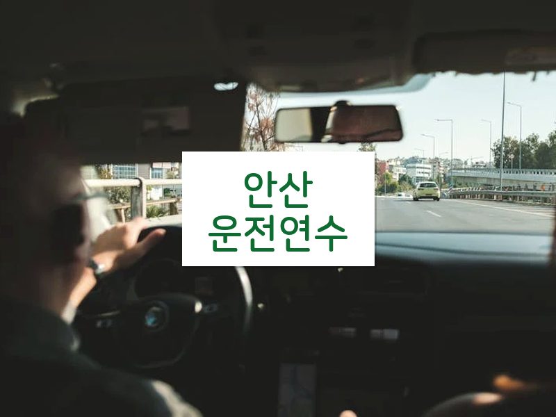 안산운전연수 후기