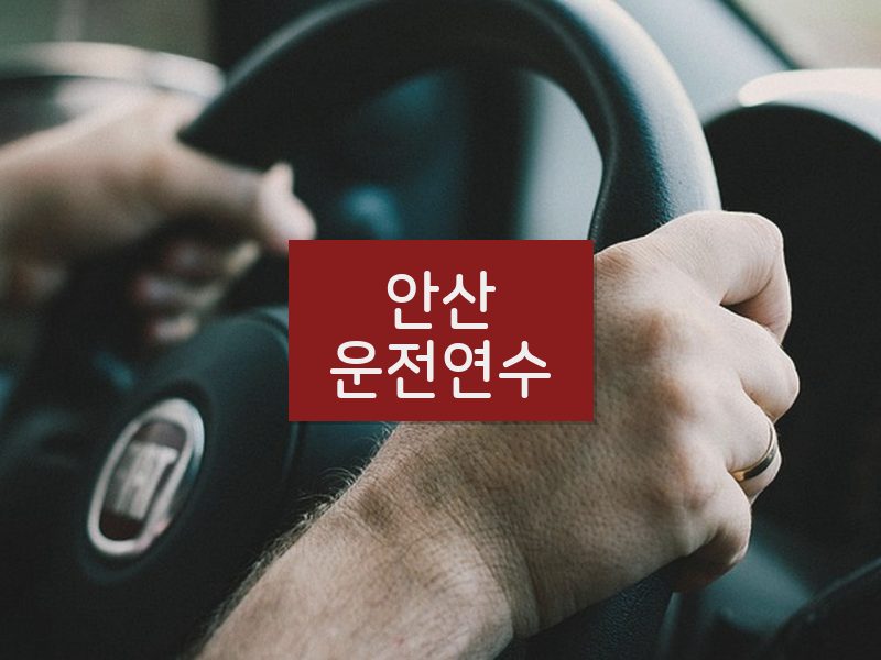 안산운전연수 후기