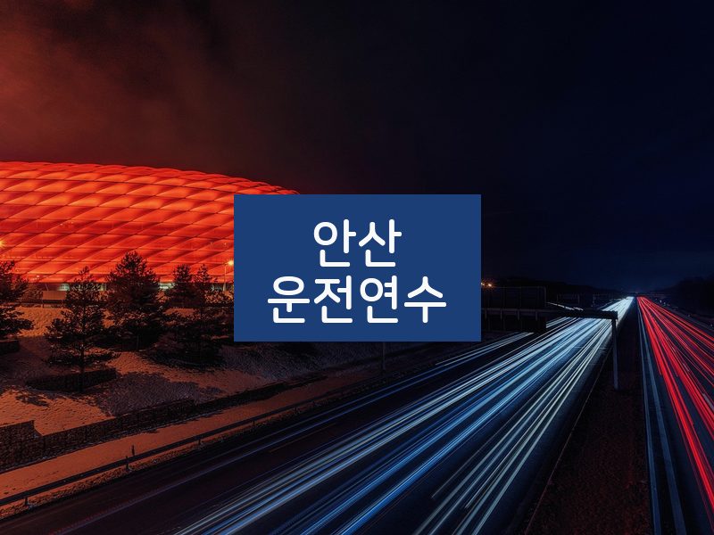안산운전연수 후기