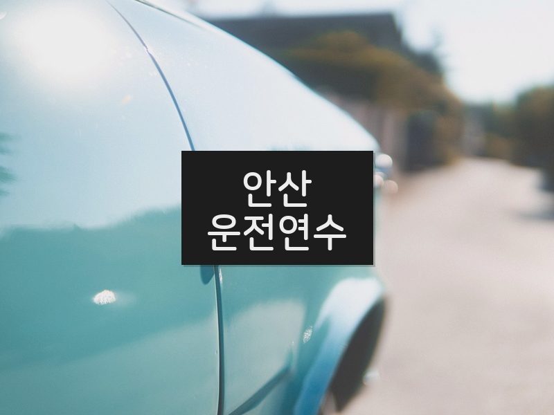 안산운전연수 후기