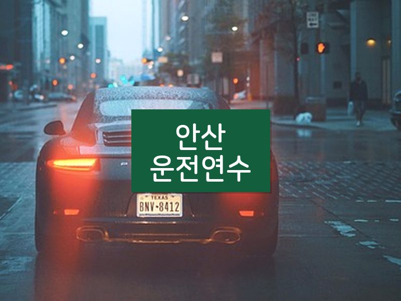 안산운전연수 후기