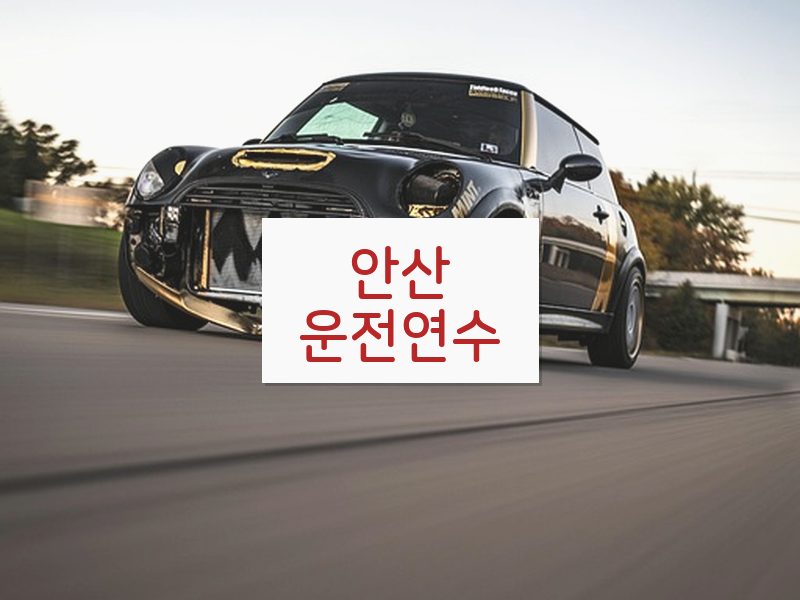 안산운전연수 후기