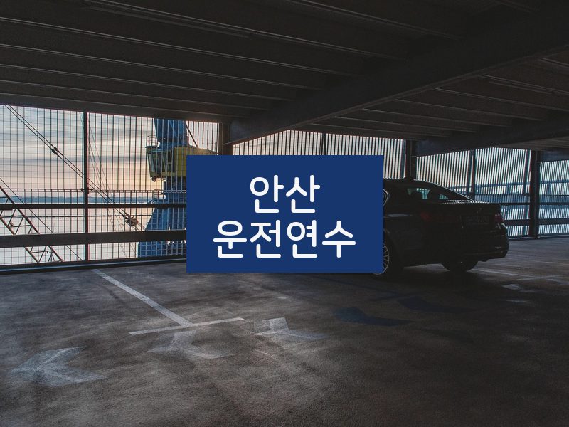 안산운전연수 후기