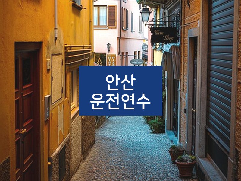 안산운전연수 후기