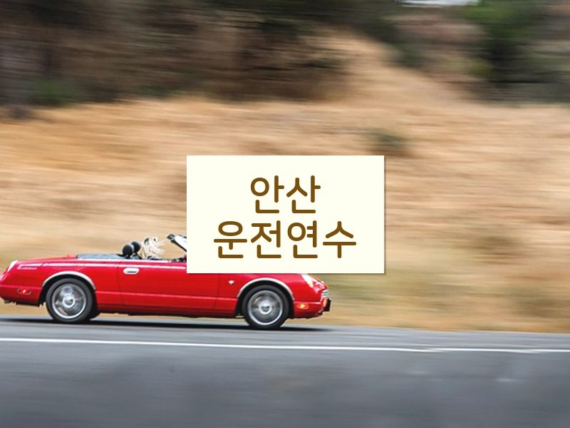 안산운전연수 후기