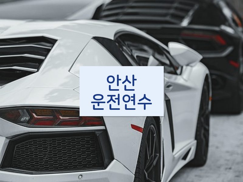 안산운전연수 후기