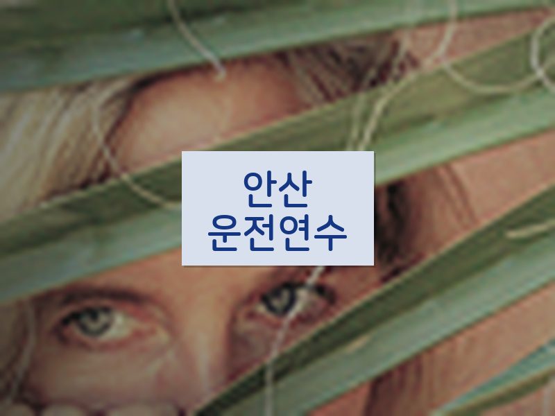 안산운전연수 후기