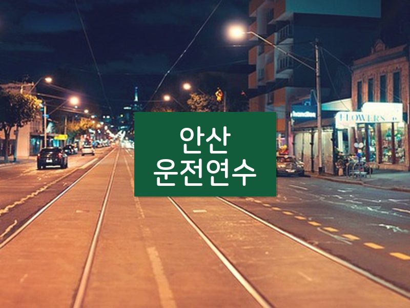 안산운전연수 후기