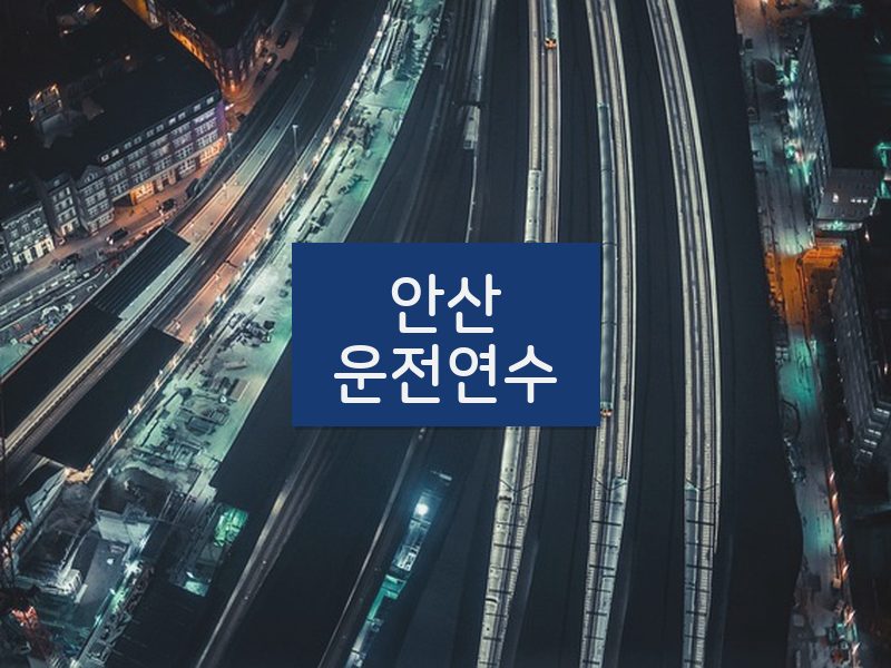 안산운전연수 후기