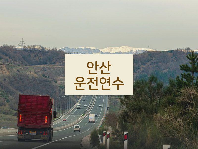 안산운전연수 후기
