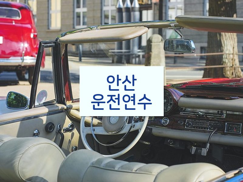 안산운전연수 후기