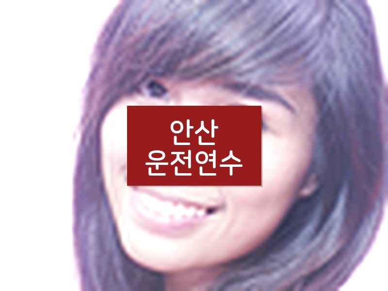 안산운전연수 후기