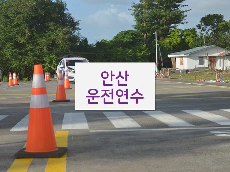 안산운전연수 후기