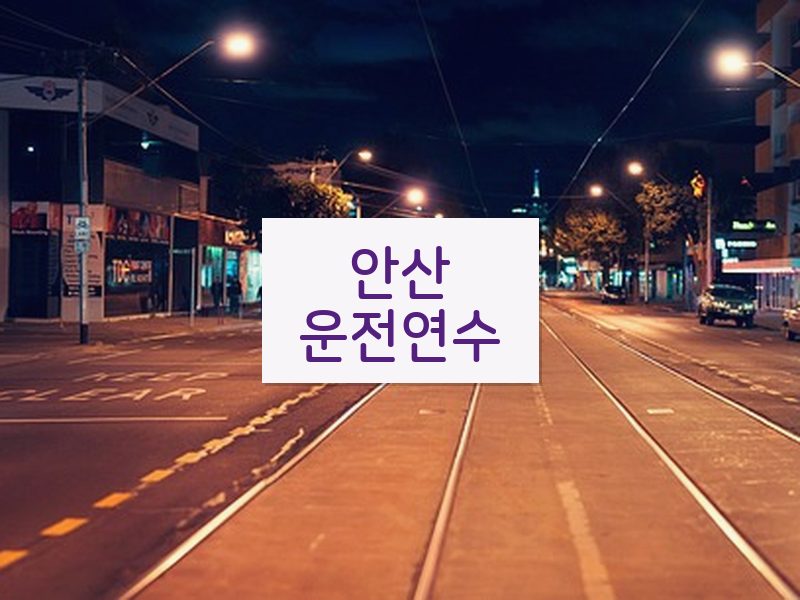 안산운전연수 후기