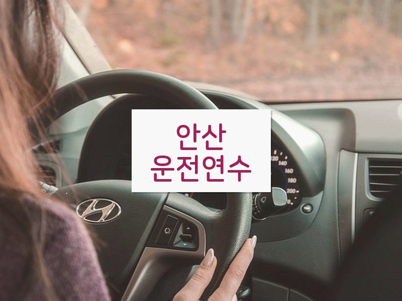 안산운전연수 후기