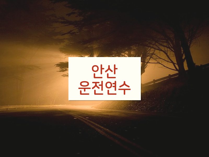 안산운전연수 후기