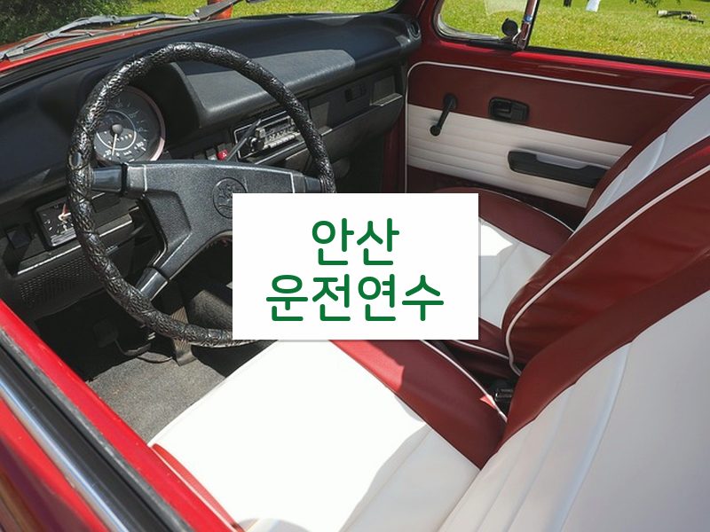 안산운전연수 후기