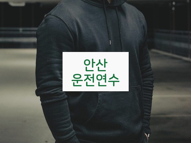 안산운전연수 후기