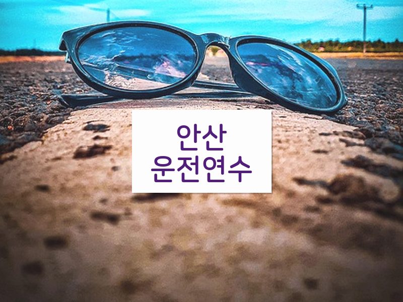 안산운전연수 후기