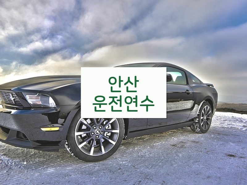 안산운전연수 후기
