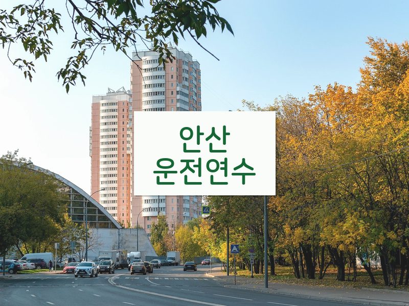 안산운전연수 후기