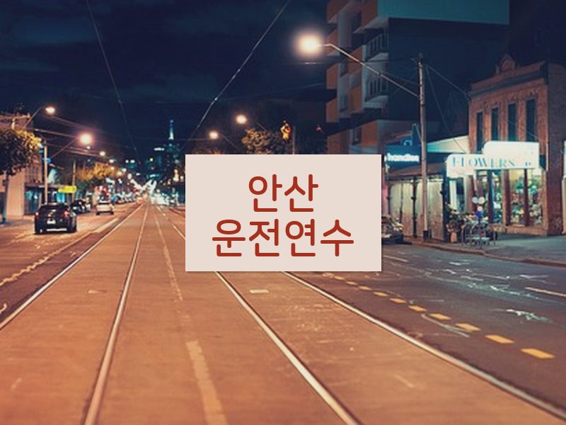 안산운전연수 후기