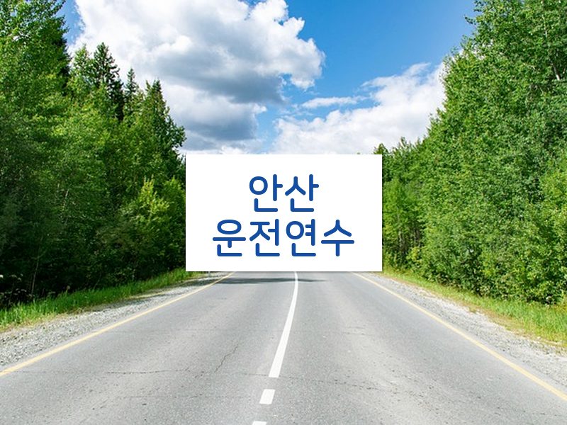 안산운전연수 후기