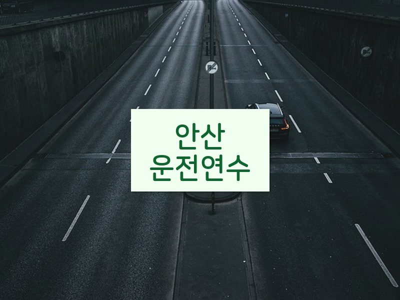 안산운전연수 후기