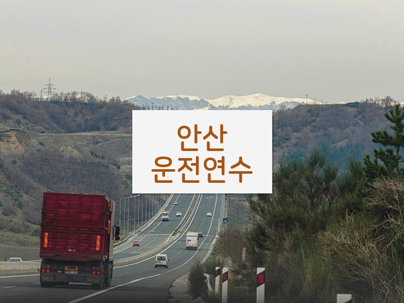 안산운전연수 후기