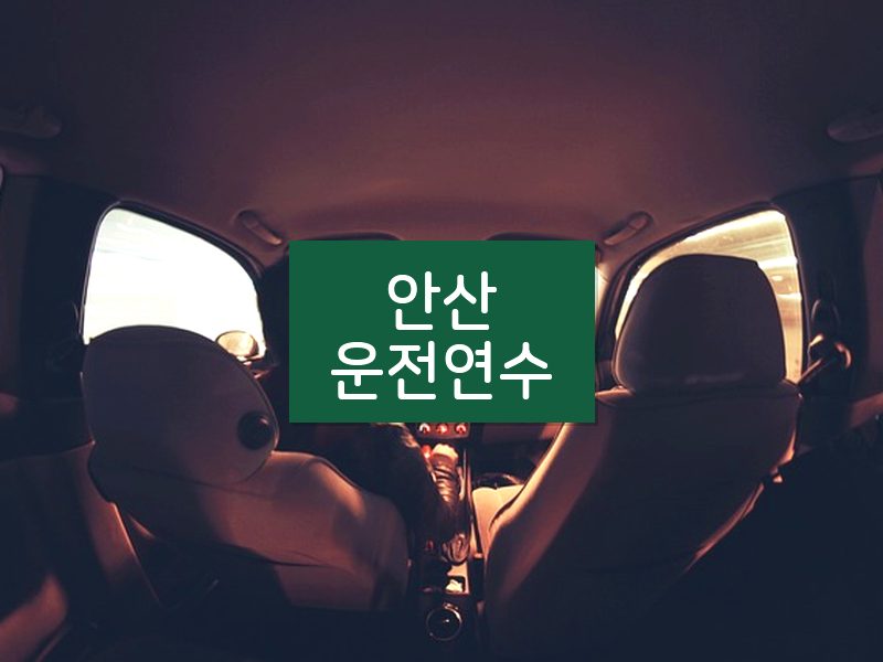 안산운전연수 후기