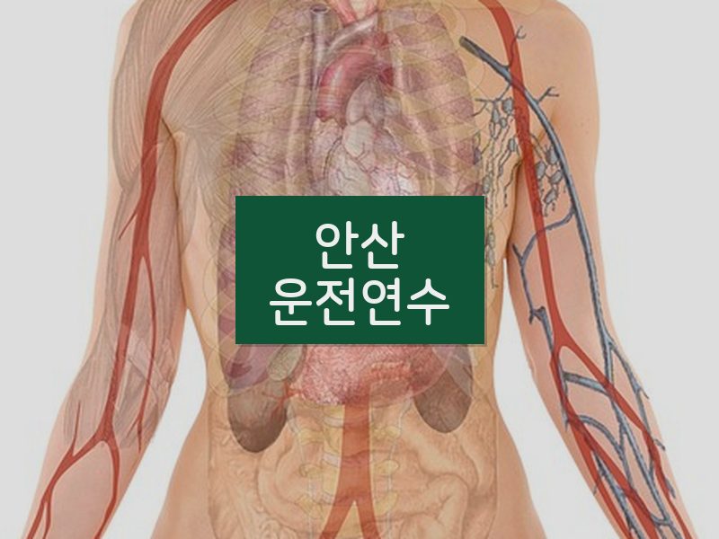 안산운전연수 후기