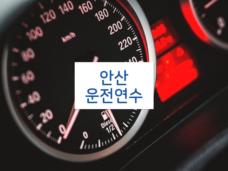 안산운전연수 후기