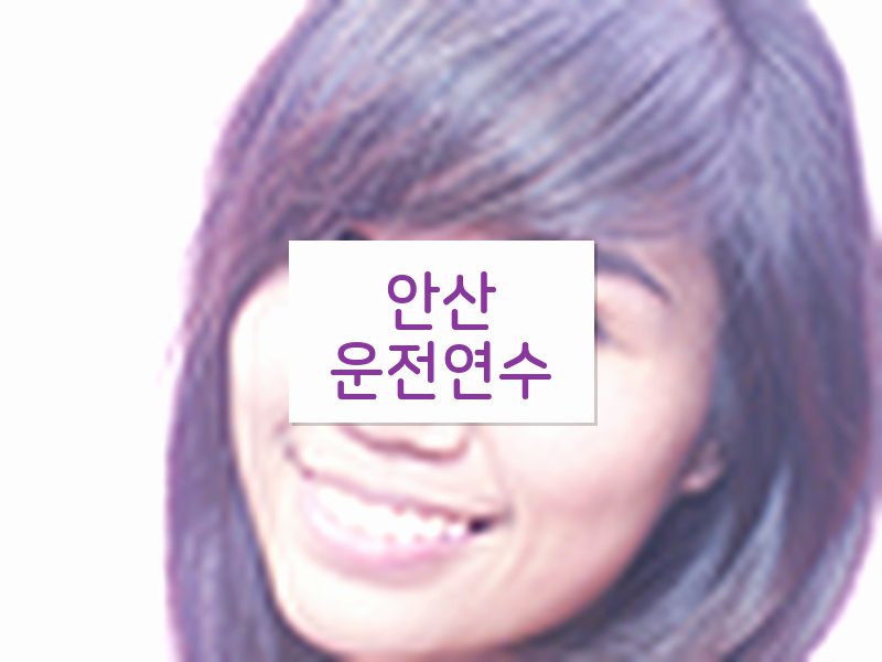 안산운전연수 후기