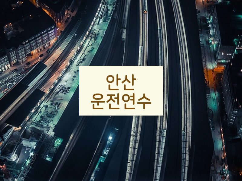 안산운전연수 후기