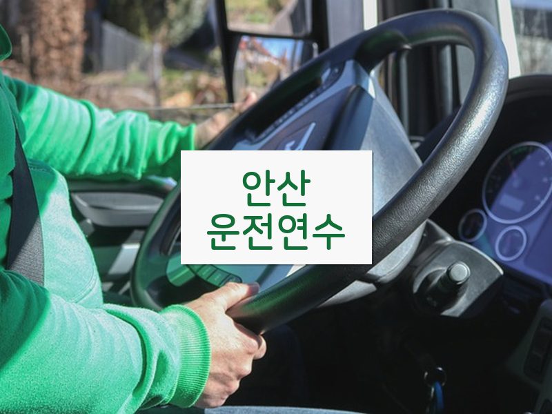안산운전연수 후기