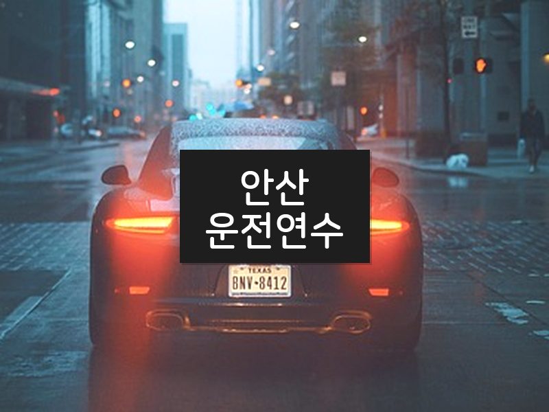 안산운전연수 후기