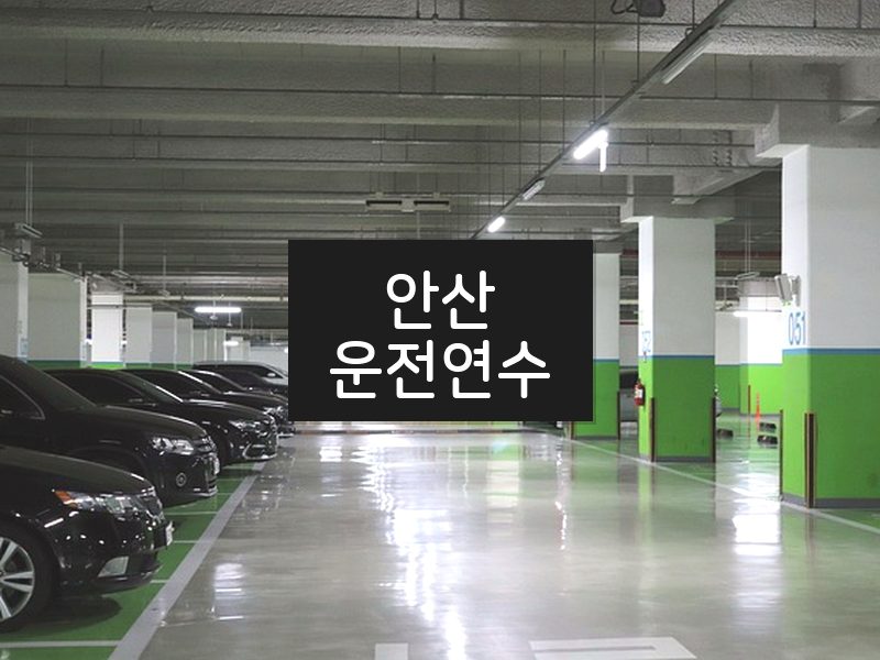안산운전연수 후기