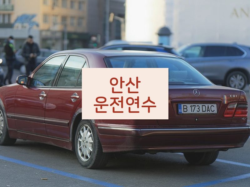 안산운전연수 후기