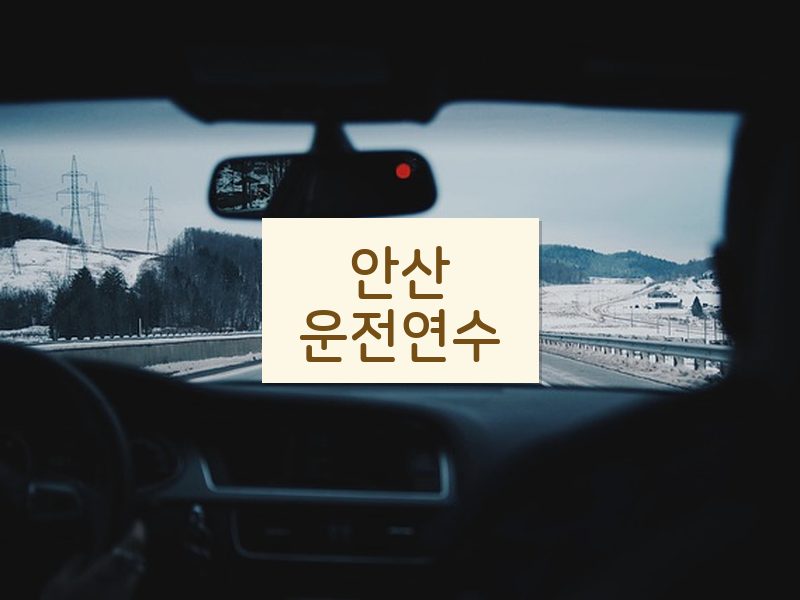 안산운전연수 후기