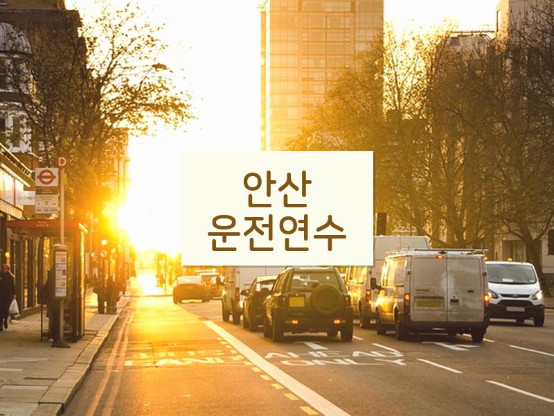 안산운전연수 후기