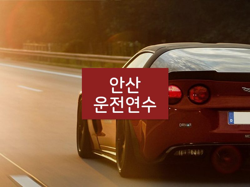 안산운전연수 후기